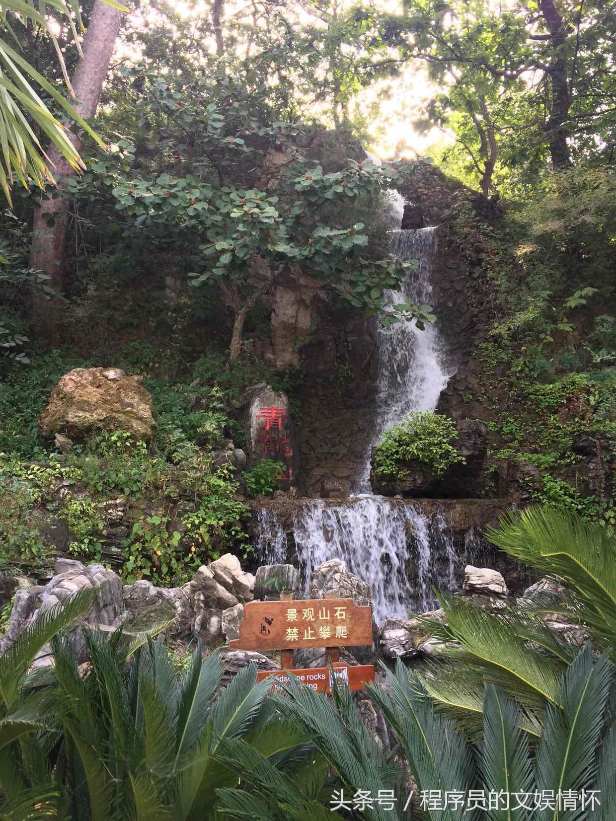 济公的生肖之谜，精选解析与落实的详细结果