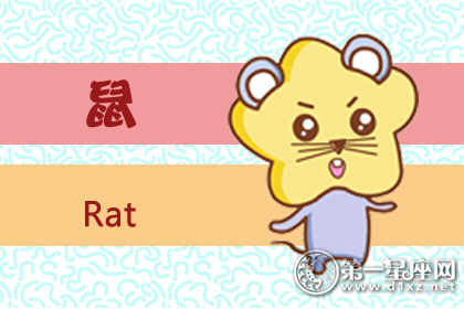 鼠女与生肖配对，一场温馨的传统文化解析