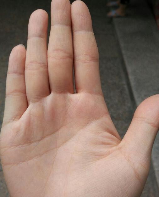 十二生肖中的固执小能手，探秘不听劝的生肖奥秘