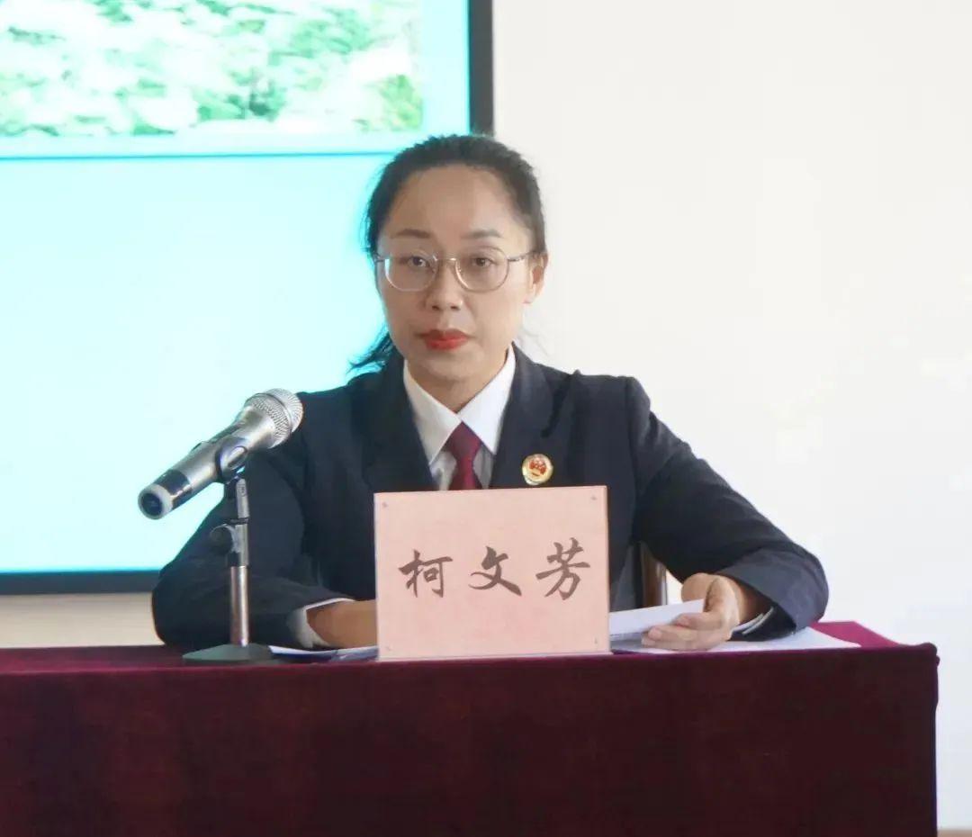 属性查询12生肖年龄，的精准解答与落实精神