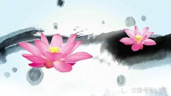 十二生肖的诗意画卷，友爱与智慧的结晶