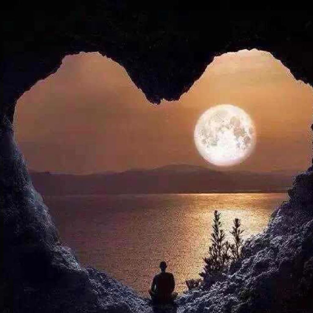 独一无二的生肖，探寻之谜与人生哲理的深度解析