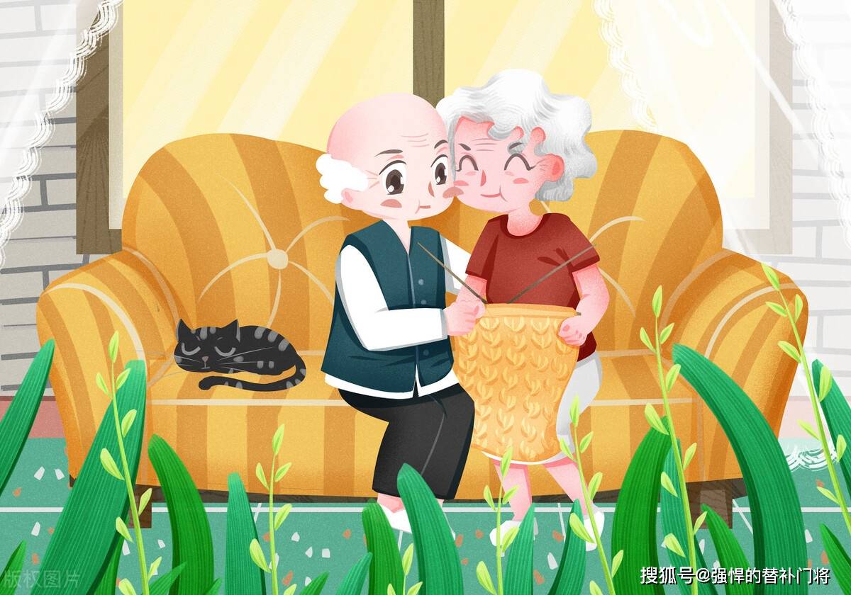 鹤发童颜的生肖是指什么生肖，马上为你揭晓落实