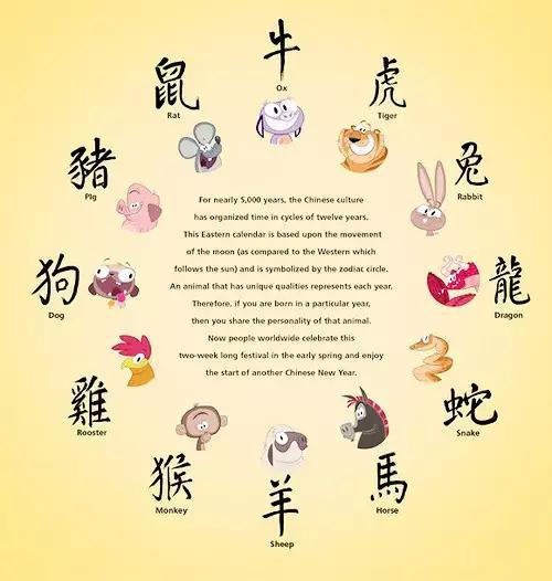 顺风顺水顺人意，揭秘生肖背后的文化寓意与现实启示