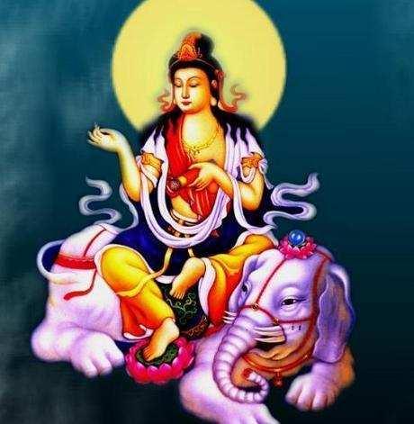 八难三灾与生肖之舞，探索和谐共生的智慧