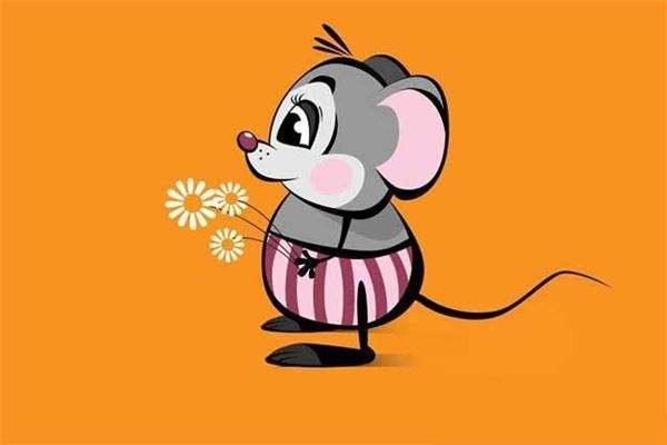 洞察力最强的生肖，属鼠者的锐利眼光