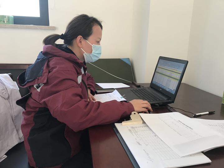 羊与什么生肖相合，最快解答与深度解析