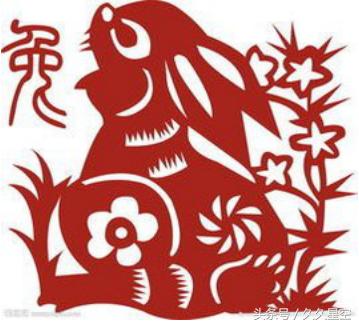 人才济济打一正确生肖?奥秘解释落实