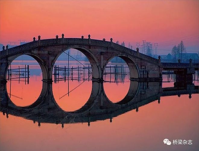 勤劳的动物与生肖文化，社会进步与文化解析的桥梁