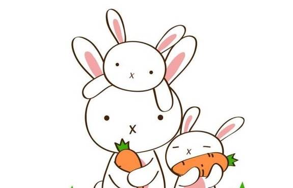 春意盎然，生肖兔的积极转变与落实