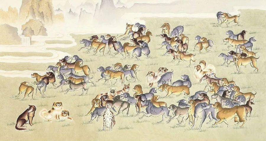 犬马之劳猜一生肖，解密与解读