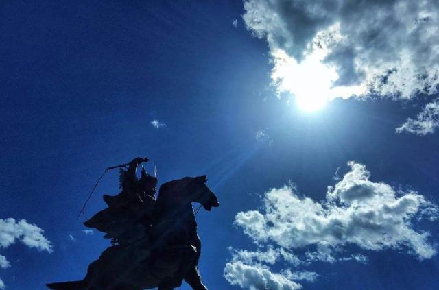 谜之倦态，揭秘无精打采的动物—考拉