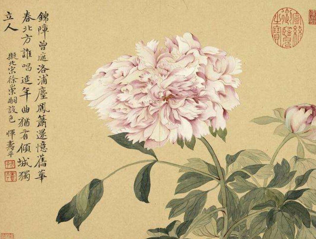 二前惆怅十牡丹猜一生肖，与积极行动的完美结合