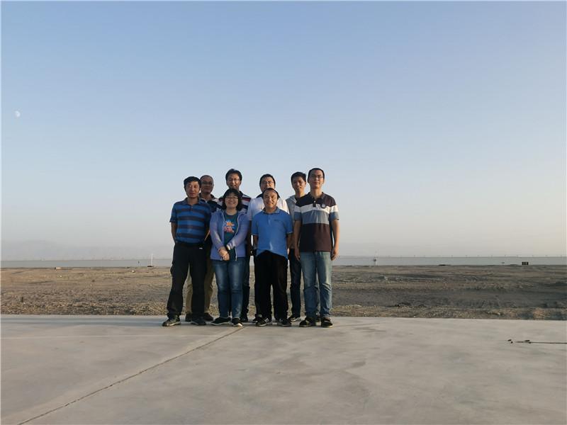 志在四方猜一生肖，深度解析与精准落点