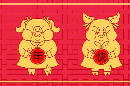 十冬腊月是指什么生肖，积极解释与落实的转变