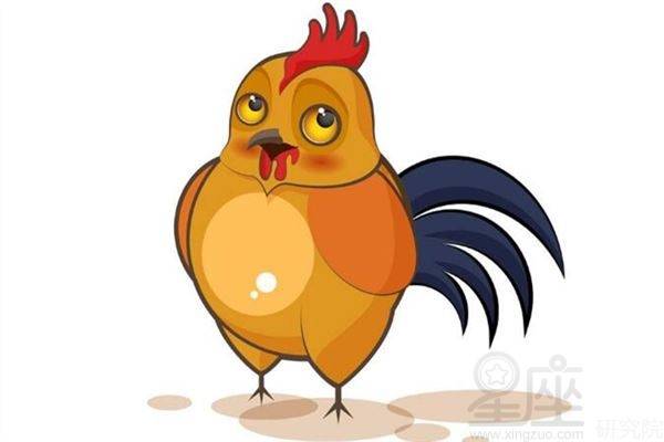 属鸡配什么生肖最好，团结解释落实