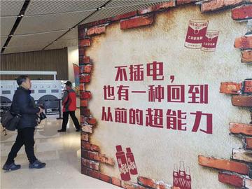 醉翁之意猜动物，一场智慧与趣味的奇妙之旅