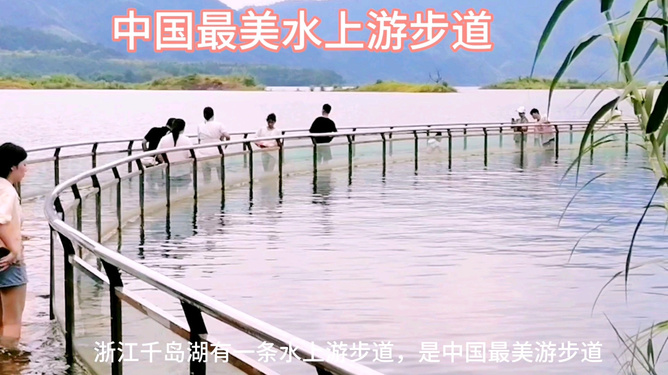 地上走来水上游，生肖之谜的深层文化解读