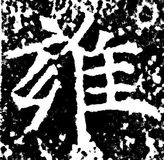 雍，生肖之谜与人生哲理的深度解析