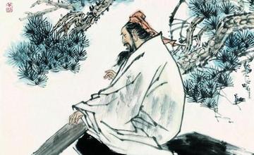 十二生肖谜语大全，智慧与趣味的完美碰撞