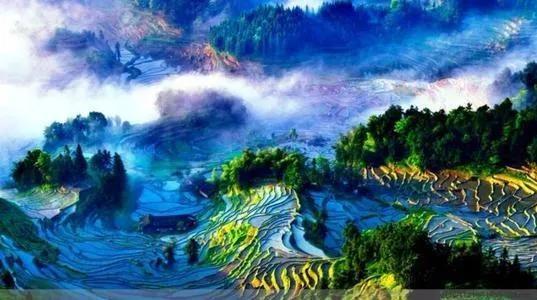 野外风光与生肖之谜，一场文化与自然的深度对话