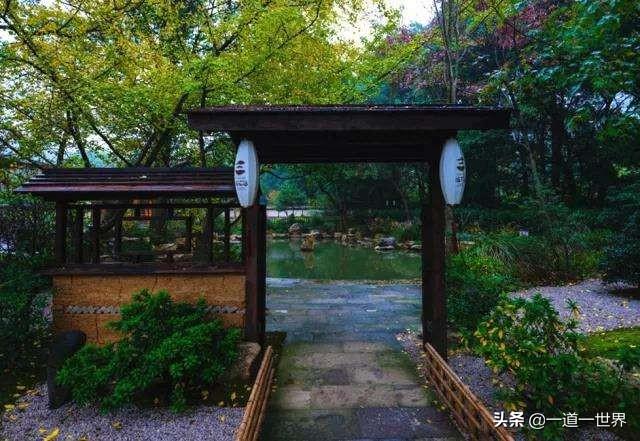 有头无尾是什么生肖，背后的智慧与哲理