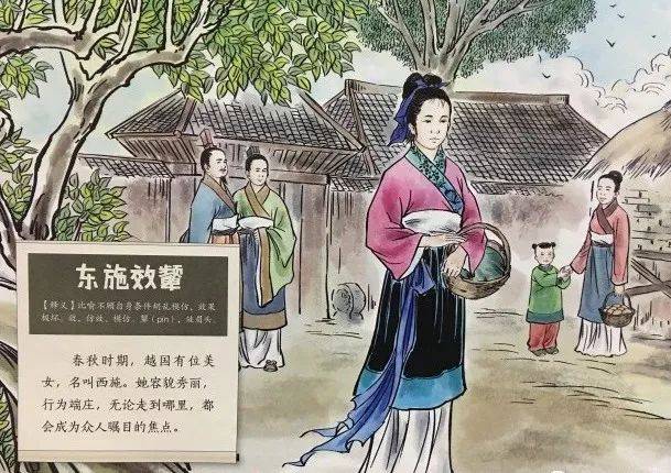 东施效颦背后的动物启示，通用解释与落实的智慧