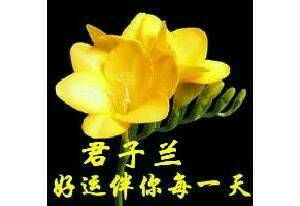 黄花女儿猜一生肖，背后的智慧与策略