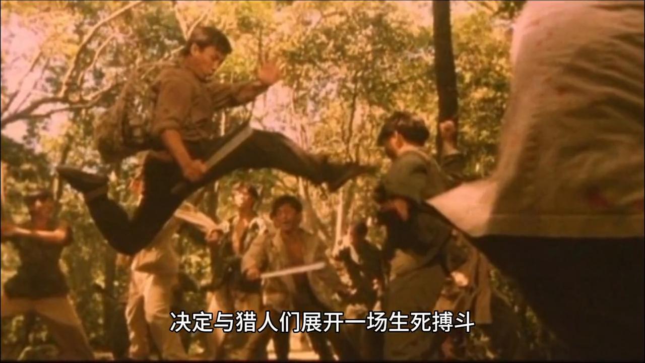 急中生智猜一动物，智慧与灵性的巧妙结合