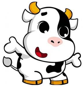 农历月份与生肖的智慧，时间流转中的文化密码