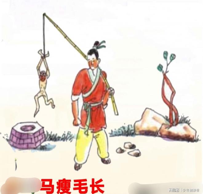 妙手回春，揭秘正确生肖与最新解释