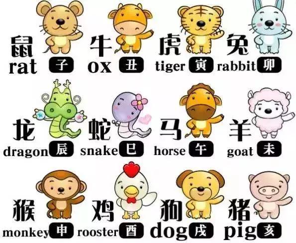 听代表的生肖，灵兔的智慧与倾听