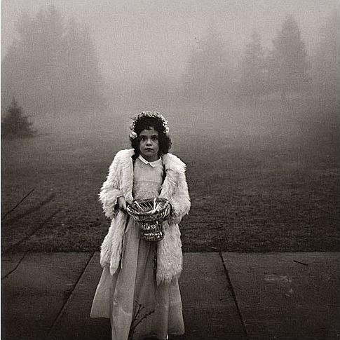 谜语探秘，匕鬯不惊猜一生肖