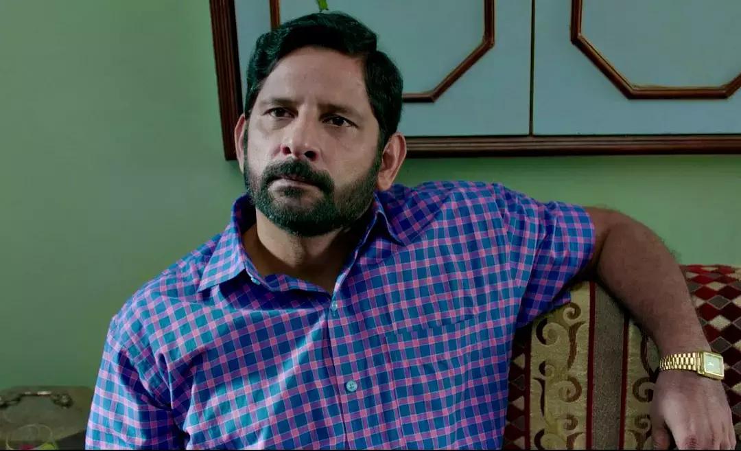 十二生肖哪个是君子，神秘解释落实