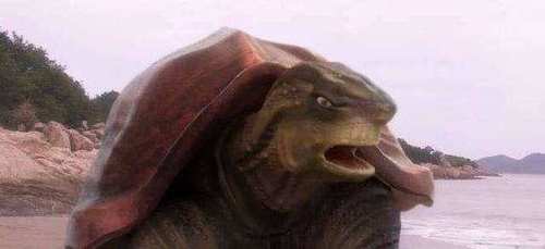 探寻拉东拖西话西游背后的神秘动物—一场文化与智慧的奇妙之旅