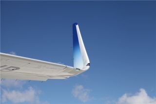 筋疲力尽猜生肖，以勤奋为翼，翱翔于成功之巅