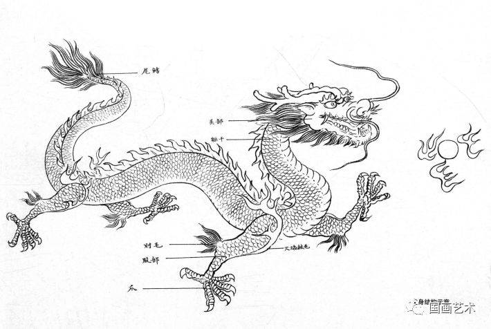 女马配什么生肖最好，探寻最佳生肖配对