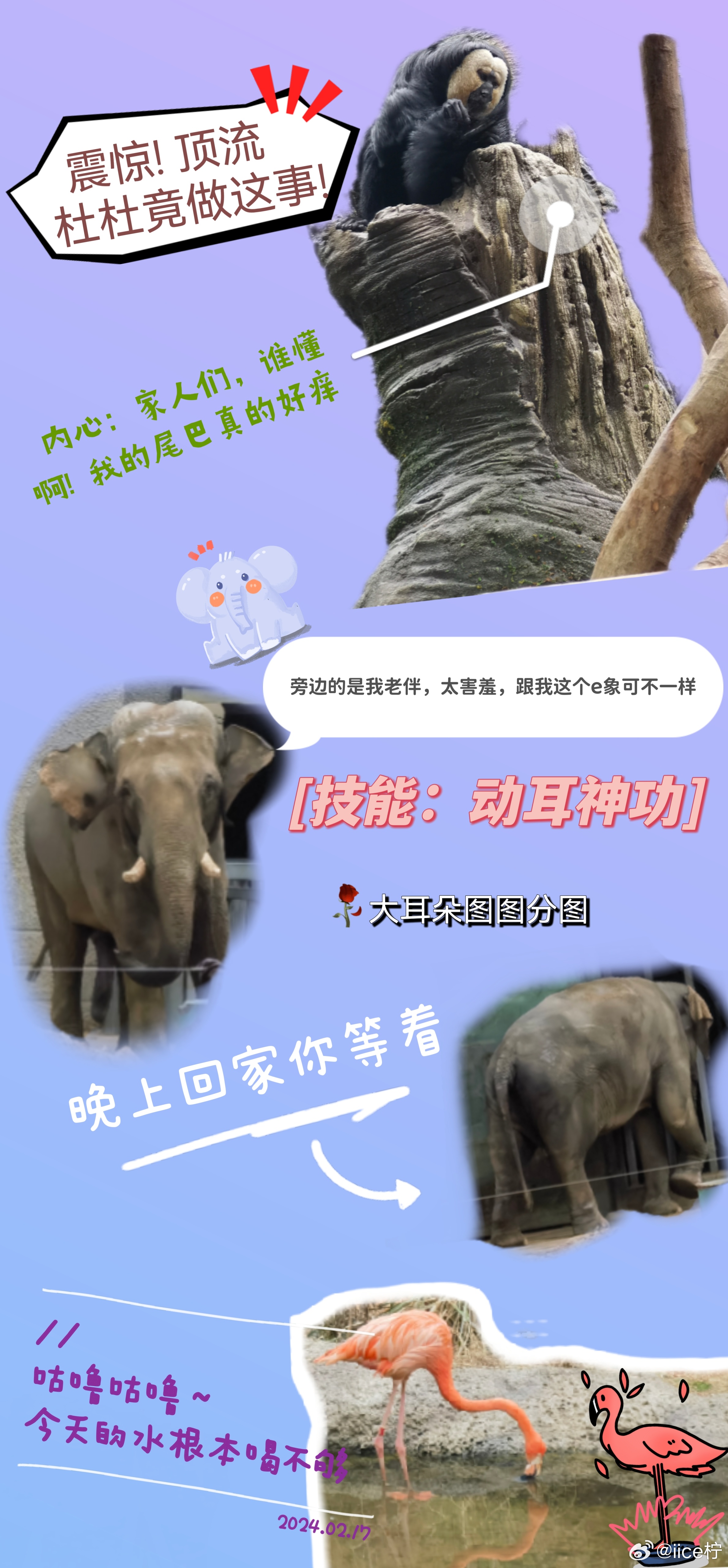 盛筵必散猜一动物，积极解释落实