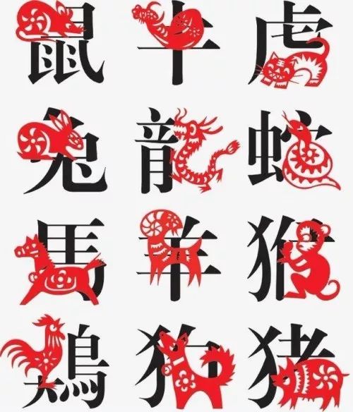 三言两语中的生肖玄机，民间智慧与生肖文化的巧妙融合