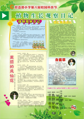 美丽天使猜一动物，寓言背后的生活哲理