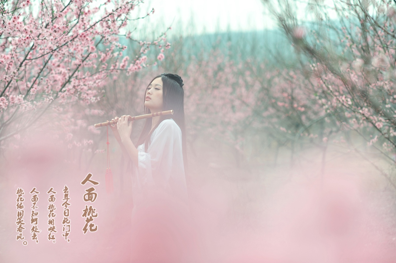 探秘人面桃花之谜，生肖解析与文化寓意