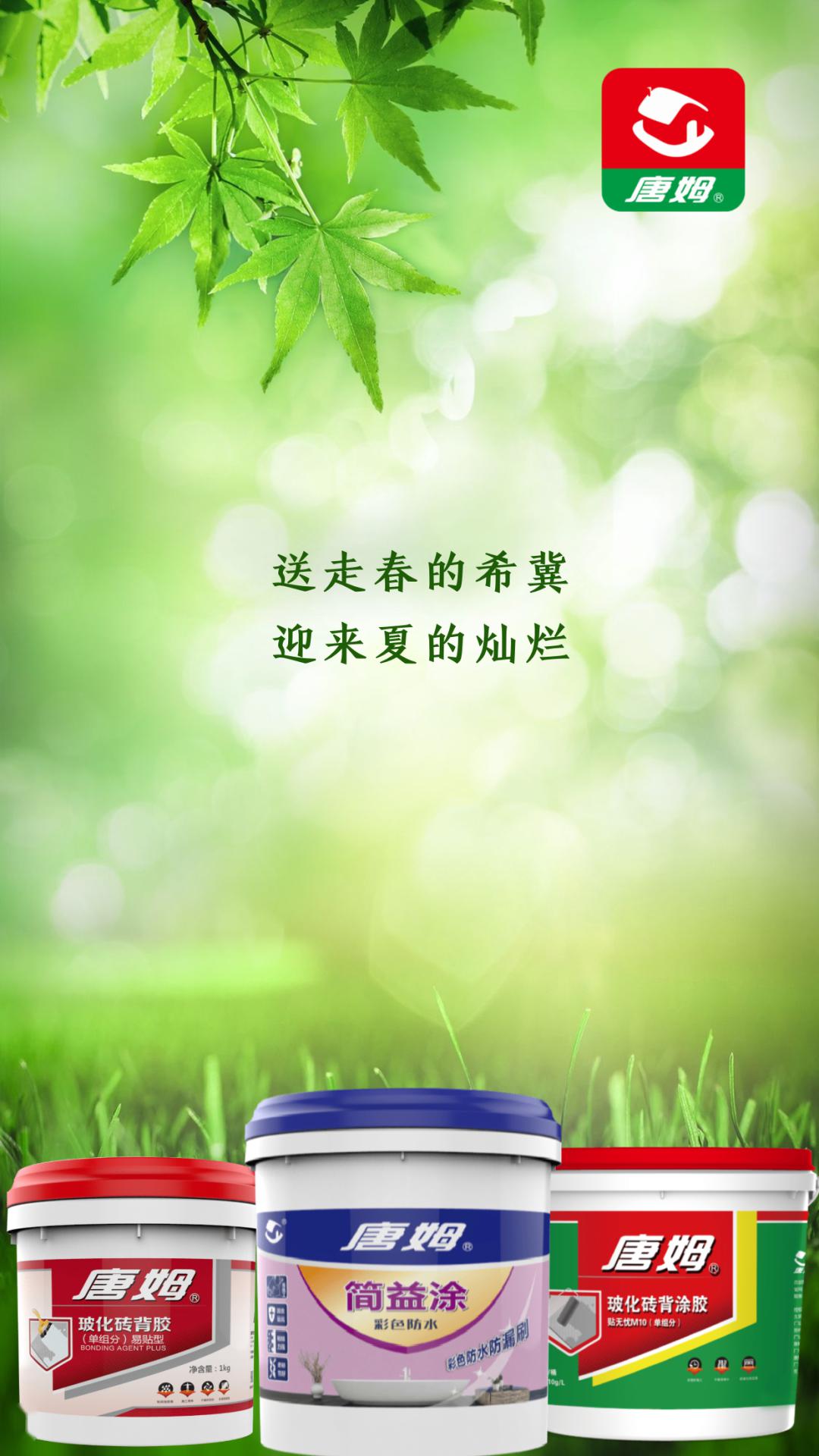 解谜黑牛白角的生肖之谜，以智慧与毅力为笔，书写成功篇章