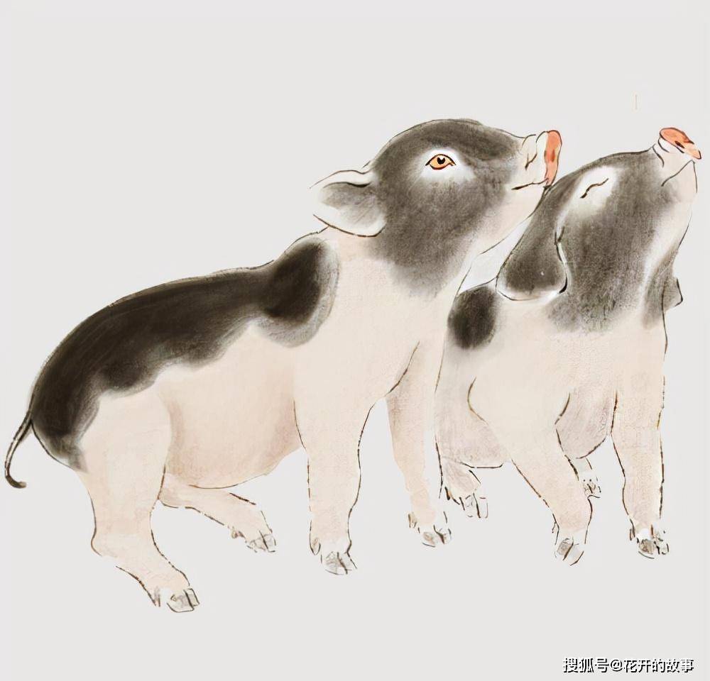 挖空心思，谜底揭晓，时代解释与落实的猪趣横生