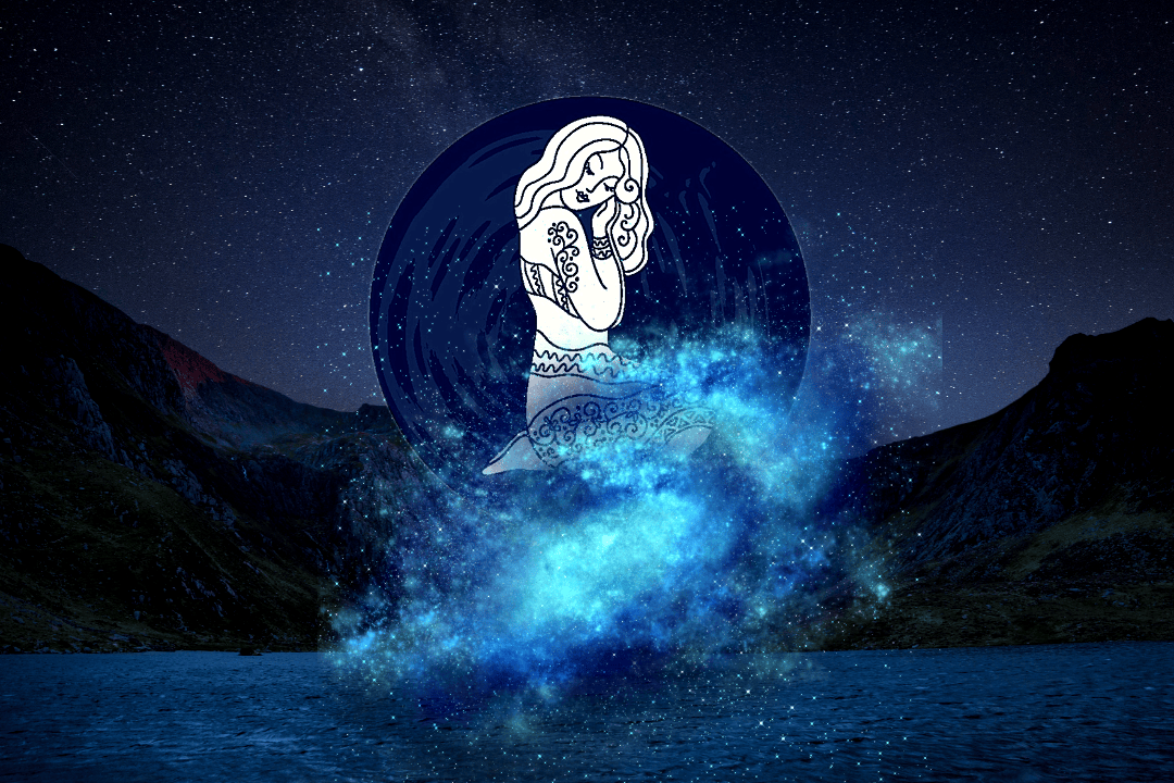 十二生肖中的水肖，深邃与灵动的象征