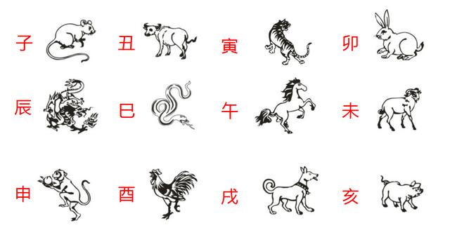 北方生肖有哪些，激励作答落实解释