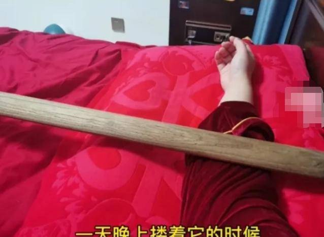 独守空房三年久，生肖之舞的和谐共舞