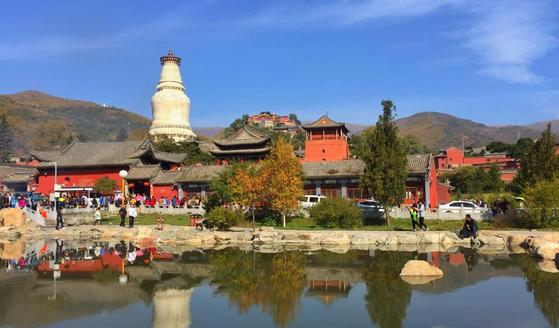 野外风光与生肖之谜，一场文化与自然的深度对话