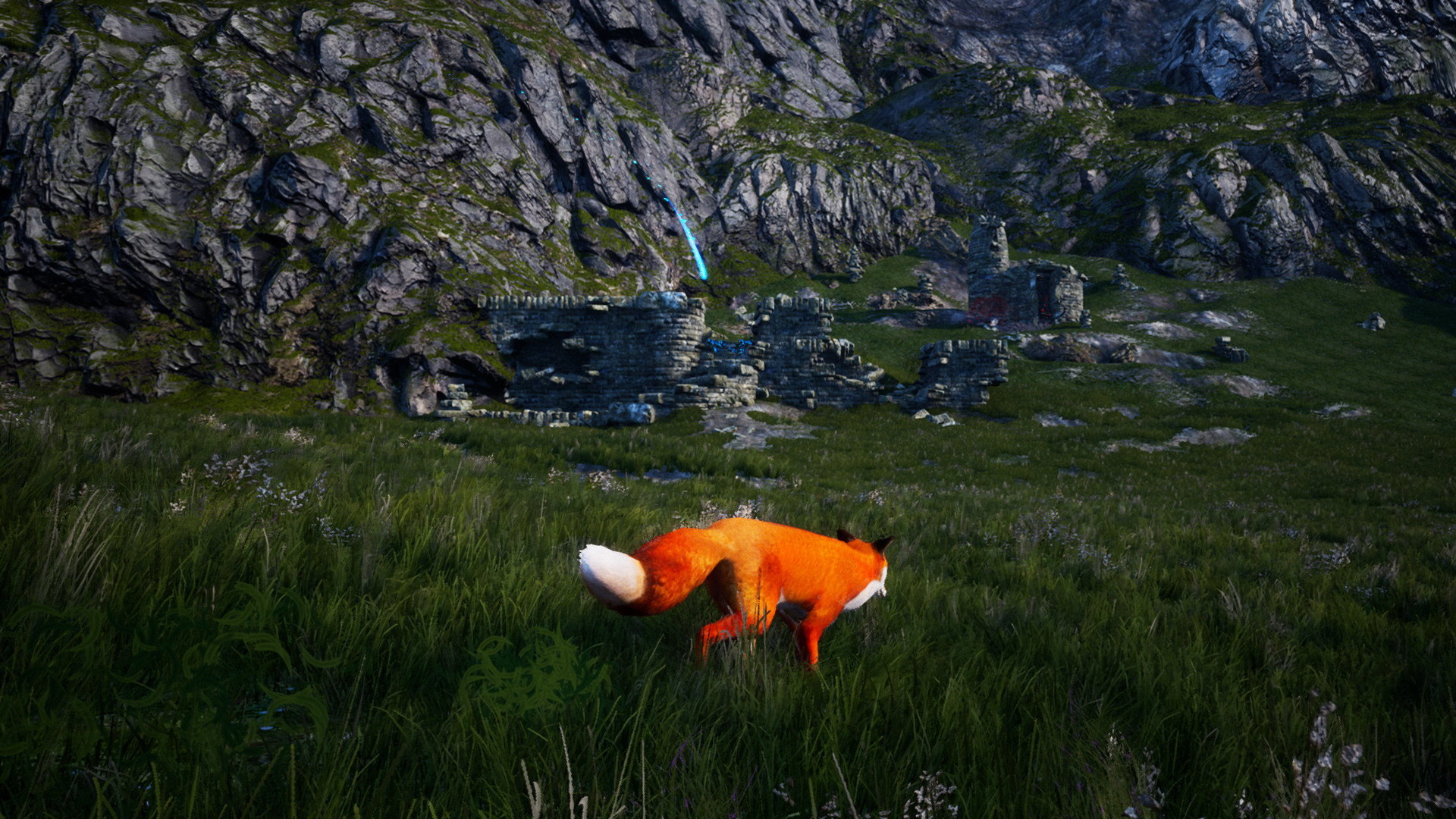 南方之灵，生肖与文化的深度交融