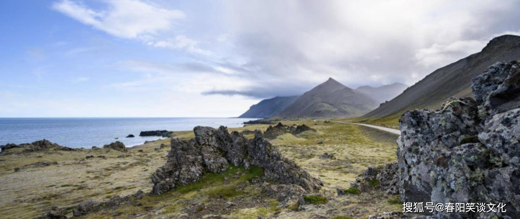 心胸开阔猜一动物，背后的坚韧与不屈