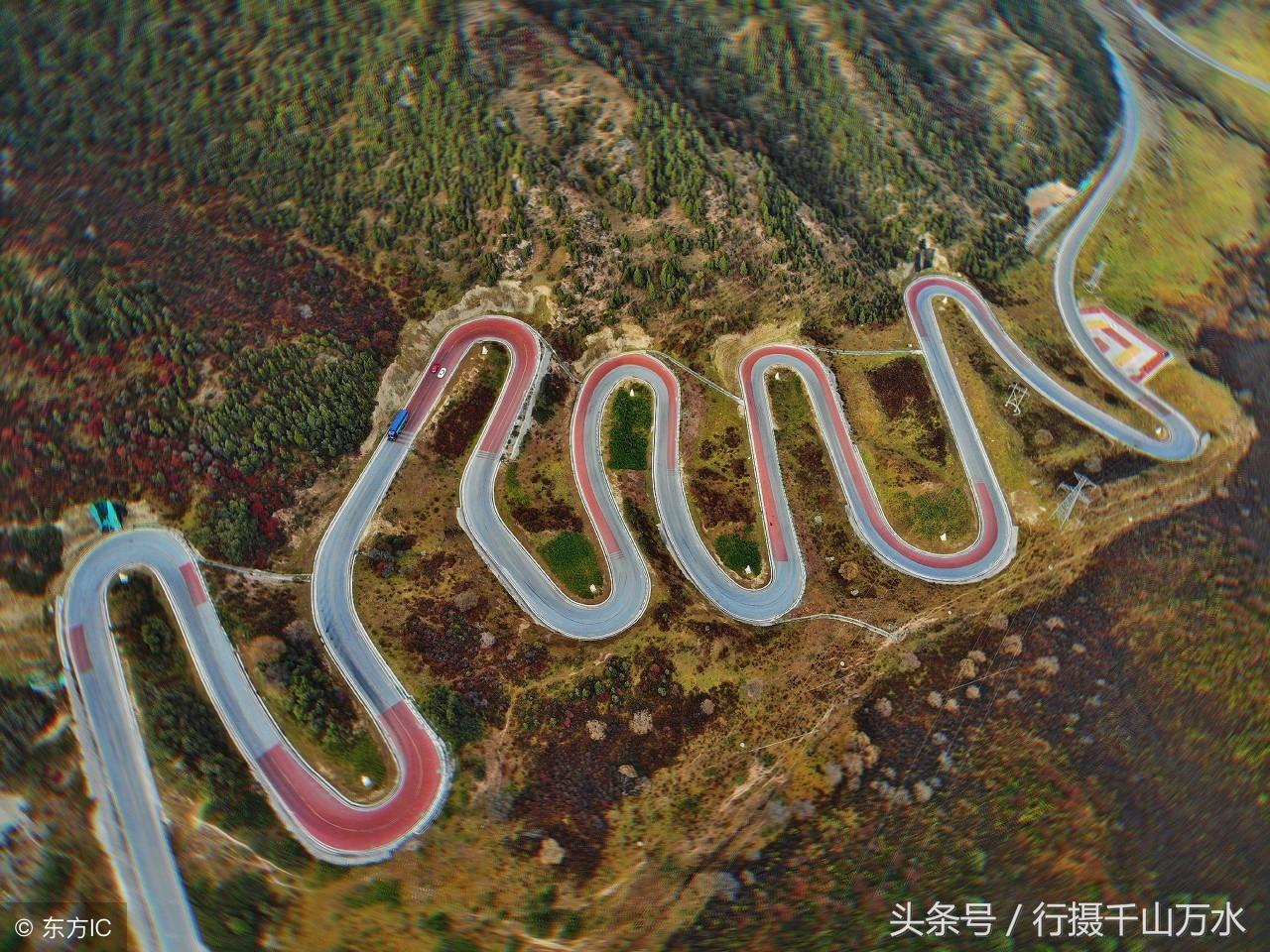 洋洋得意猜一最佳生肖，揭秘生肖背后的文化与智慧